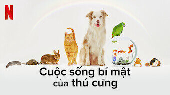 Poster of Cuộc sống bí mật của thú cưng