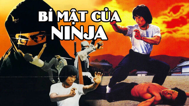 Poster of Bí Mật Của Ninja