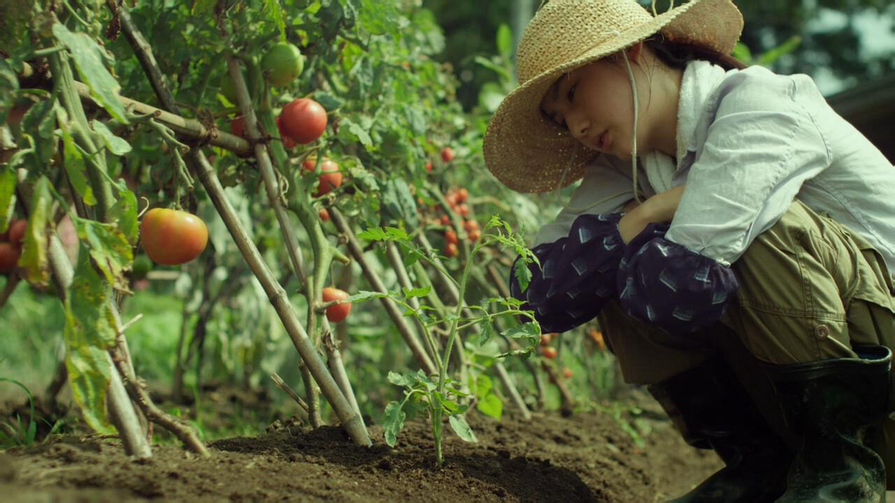 Poster of Little Forest SummerAutumn