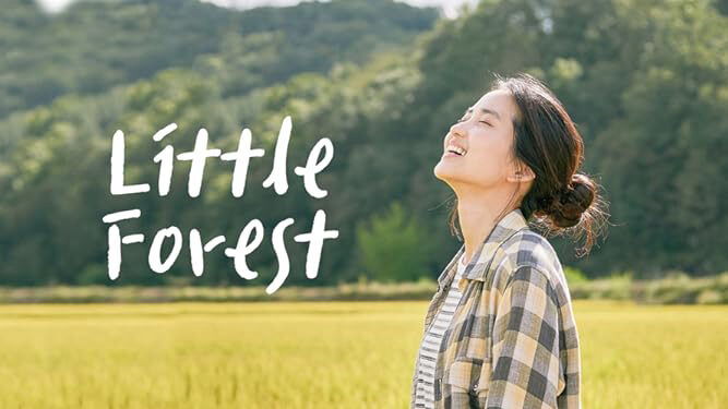 Poster of Little Forest