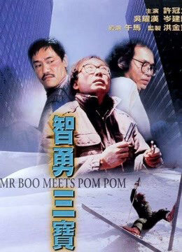 Poster of Mr Boo gặp Pom Pom