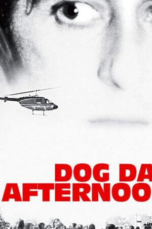 Xem phim Buổi Chiều Xui Xẻo  - Dog Day Afternoon (1975)