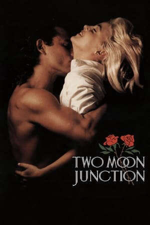 Xem phim Giao Lộ Mặt Trăng  - Two Moon Junction (1988)